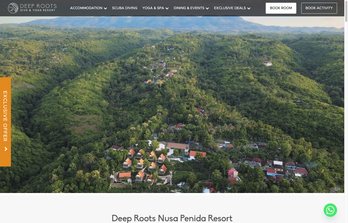 Deep Roots Penida — site web réalisé par Histoires Digitales